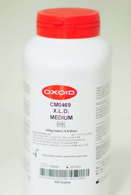 X.L.D. Agar